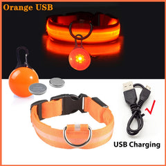 Usb Charging Glowing Dog Collar With Pendant Detachable Luxury Led Light Bright For Small Dogs Cat Night Safety Collar Wholesale