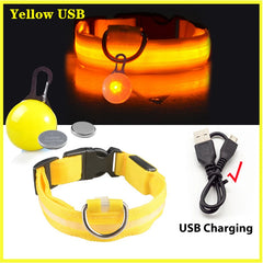 Usb Charging Glowing Dog Collar With Pendant Detachable Luxury Led Light Bright For Small Dogs Cat Night Safety Collar Wholesale