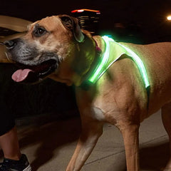 Adjustable LED Light Up Dog Harness Glowing Soft Pet Harness Leash Enhance Visibility Breathable LED Pet Collar