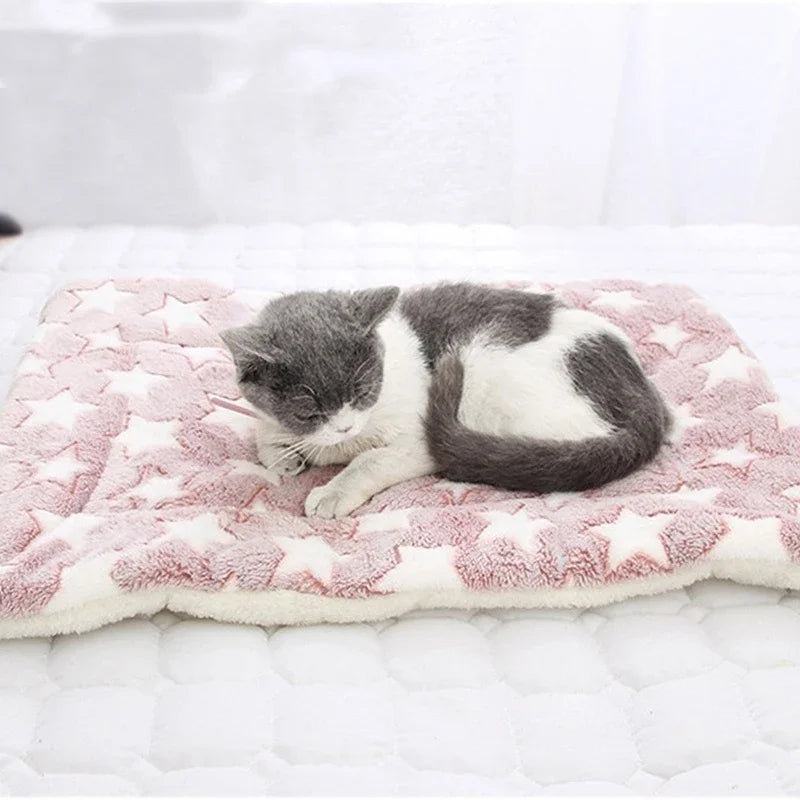 Cat Mat Flannel Cat Sleeping Mat Thickened Dog Cushion for Small Dog Winter Warm Cat Blanket Comfortable Dog Bed