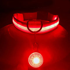 Usb Charging Glowing Dog Collar With Pendant Detachable Luxury Led Light Bright For Small Dogs Cat Night Safety Collar Wholesale