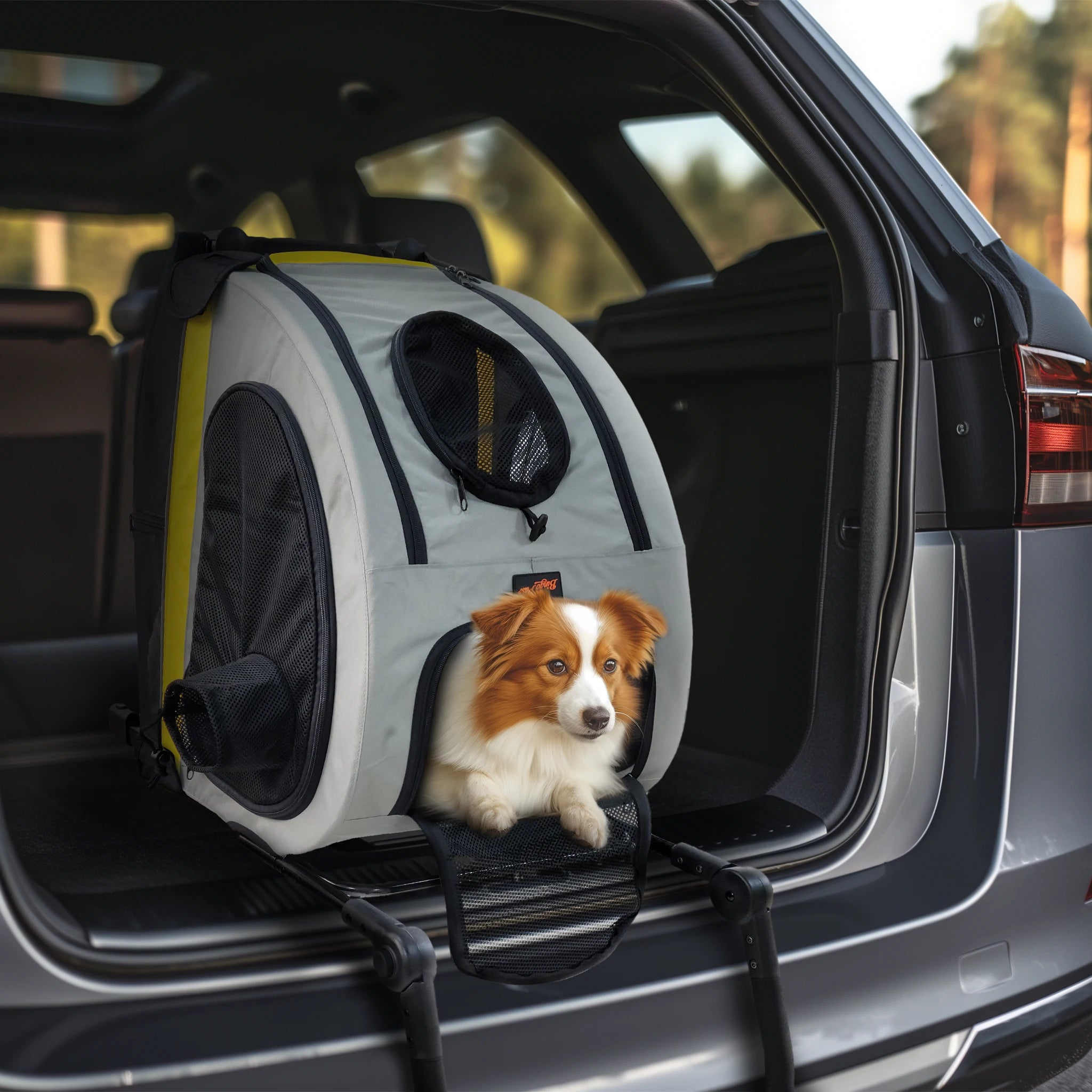 2 in 1 Dog Stroller for Car Seat Travel Carrier Convertible Portable Pet Booter for Small Dog Breeds and Cats