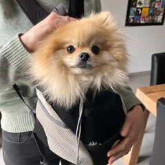 Pet Backpack Portable Portable dog Double Shoulder bag  Outdoor Travel cat Carrier Bag Pet Dog Front Bag Mesh Backpack